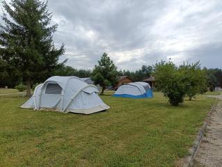 Pole Kempingowe Family Kamp - 4
