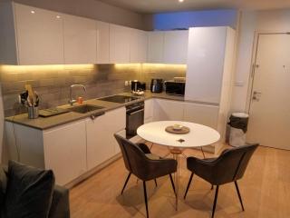 Pearl luxury Apartments - Londra - 4