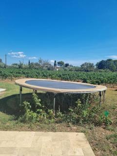 Une Nuit au Cœur d'un Vignoble Provençal Piscine - Cotignac - 5