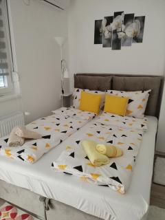 Apartman Nana - Banja Koviljača - 8