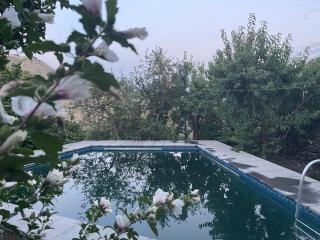 Vahagni guest house in Garni - Garni - 8