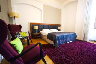Hotel Zamek Lubliniec - Lubliniec - 6