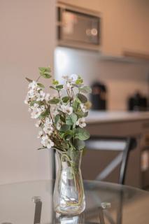 City Haven Studio Apartment for Two in Nunoa - Santiago - 6