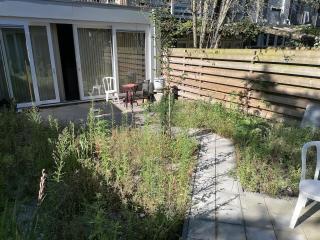 Garden house in Amsterdam - Amsterdam - 4