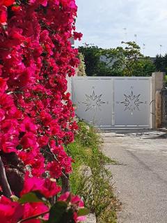 B&B La Rosa dei Venti - Brindisi - 6