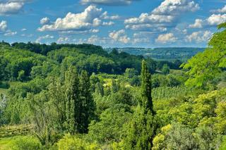 Au Cœur de GENSAC, village de charme dominant la Dordogne - Gensac - 5