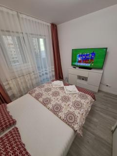 Silver Nest - Here you feel at home - Cluj-Napoca - 9