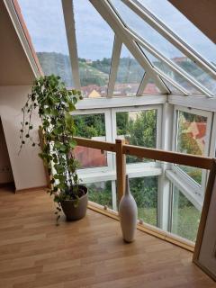 Villa Kayser - Freyburg - 5