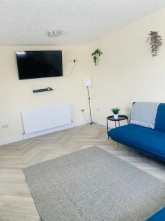 Newly Renovated Spacious 4 bed Apartment - 5