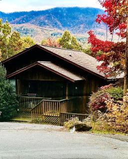 MountScape, Escape to the Mountains! Private hot tub, MTN views - Gatlinburg - 9
