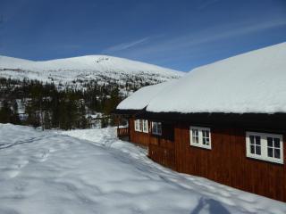 Ny hytte i flott turterreng - - 8