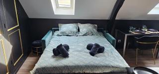 Le Paille - Studio chic cosy - HyperCentre - WIFI - Le Mans - 8