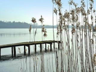 Ferienhaus am Wockersee in Parchim - 2