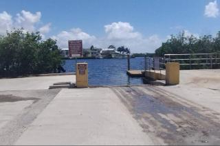 Flamingling by the Beach - Palm Harbor - 3