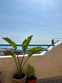 Eunoia Houses - Tamraght Ouzdar - 2
