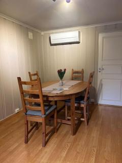 Sokkel-leilighet med nærhet til sentrum og Hovden skiheis - 5