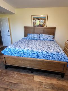 Queen guest apartment - 0