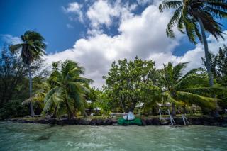 Tahiti Beach House - Paopao - 9