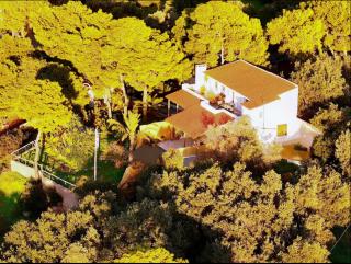 Villa Hermes - Vouliagmeni - 0