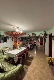 Vila Movilă - Azuga - 3