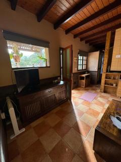 Palmera y Dátil - 6
