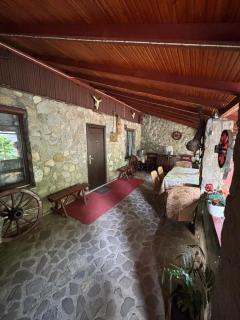 Vila Movilă - Azuga - 8