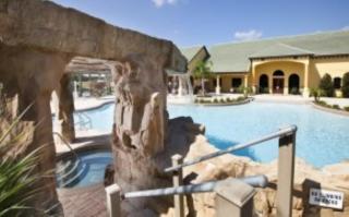 Palms of Paradise! - 8