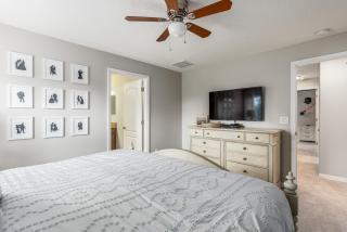 Palms of Paradise! - 4