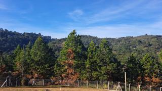 Chalé Luz do Luar Romantismo e uma linda vista - 4