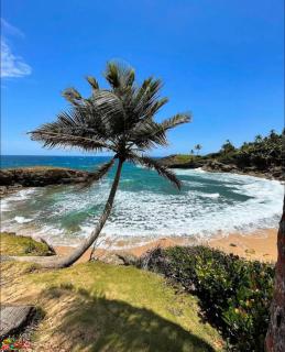Coconut Beach Club Apartments - Vega Alta - 2