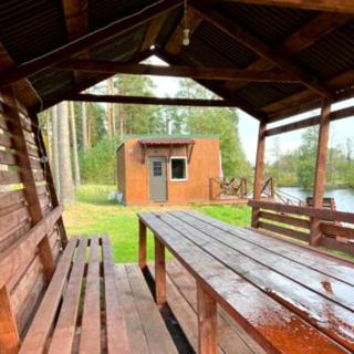 Maja saunaga kahele Arturis - 4