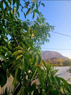 Grace and Harmony of Ancient Corinth - Kórinthos - 4