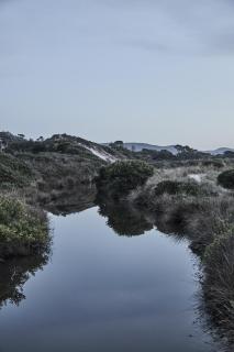 Salt Shack | coastal charm, steps from the surf - Bicheno - 3
