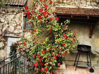 Charmant gîte près d'un château avec jardin, terrasse, parking et WiFi, à 14 km de Vichy - FR-1-489-1 - 9