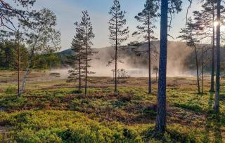 Lovely Home In Vegårshei With Sauna - 1