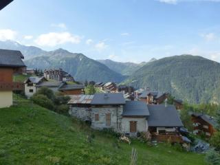 Vallandry : Duplex 3 pièces, 8 pers, accès direct pistes, animaux admis, casier à skis - FR-1-757-102 - Landry - 1