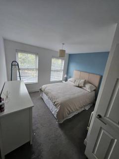 South Belfast Luxury Townhouse - Belfast - 3