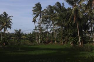 Homestay BanyuAsri Rejosari - 6