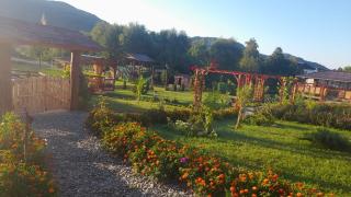 Baltina Parc Transfagarasan - Curtea de Argeş - 7