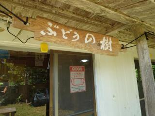 KOURIJIMA Budonoki - Vacation STAY 12237v - Kouri - 8
