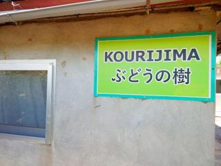 KOURIJIMA Budonoki - Vacation STAY 12237v - Kouri - 7