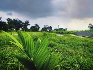 Kaia - Farm Stay & Garden Cafe - Free Fishing - Bolpur - 6