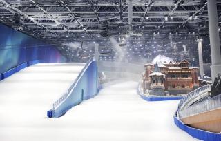 Crowne Plaza Shanghai Snow World by IHG - 3