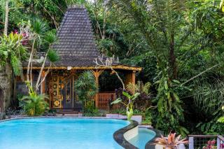 Parvati Retreat Villas - Ubud - 7