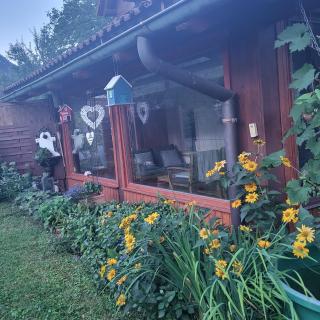 House 29 - Begunje na Gorenjskem - 5