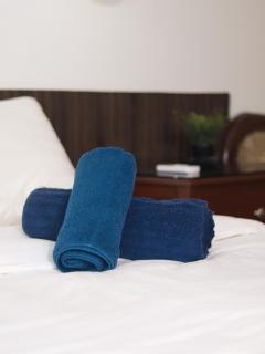 Luxurios City Living in ACQUA Novotel - Manila - 3