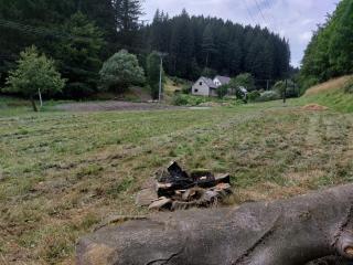 Only Meadow - place for camping - - 4
