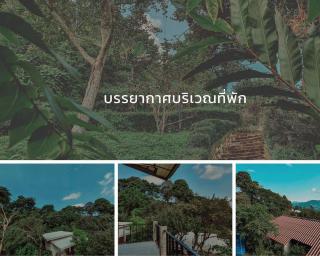DC Farm House - Ban Huai Khai - 1