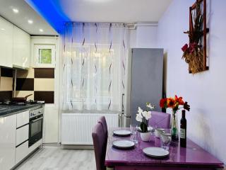 Joy City Stay Spacious Comfortable - Timişoara - 0