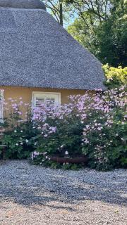 Bakkehuset Countryhouse - Skovby - 8